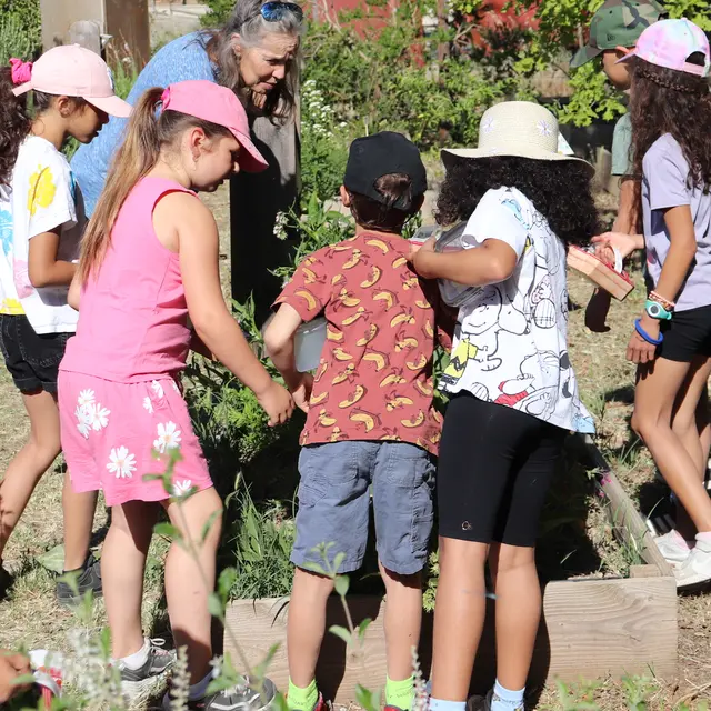 Les visites en continue