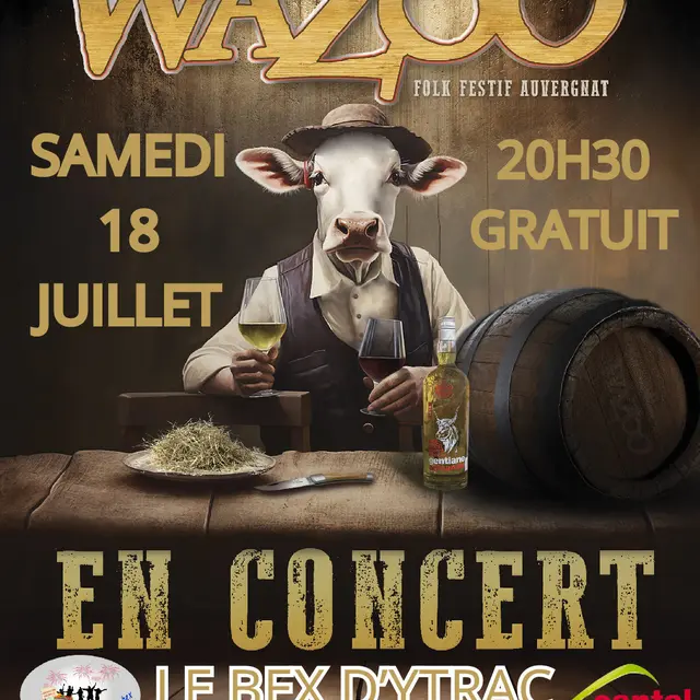 Wazoo en concert au Bex d'Ytrac