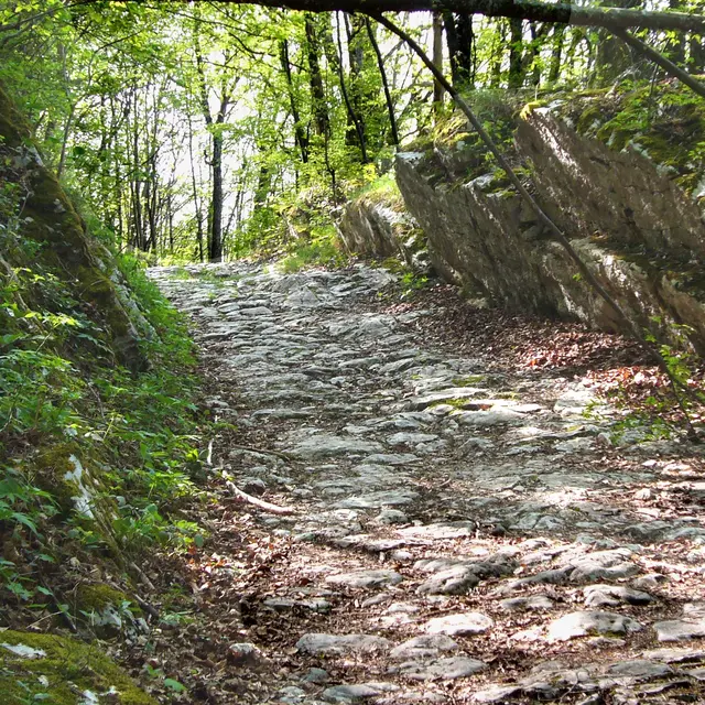 Voie sarde d'Aiguebelette
