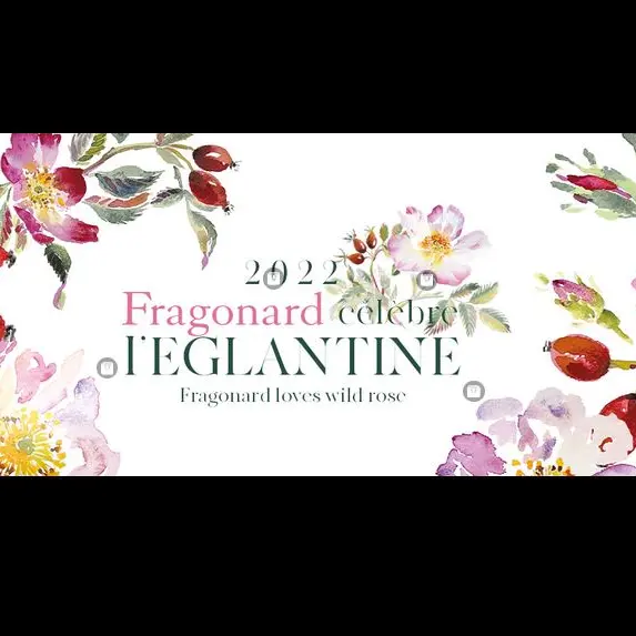 Boutique Fragonard Marseille