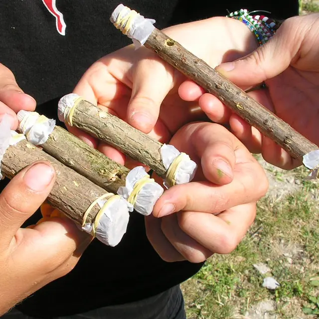 C'est l'été à Salagon : Atelier Musique Verte_Mane