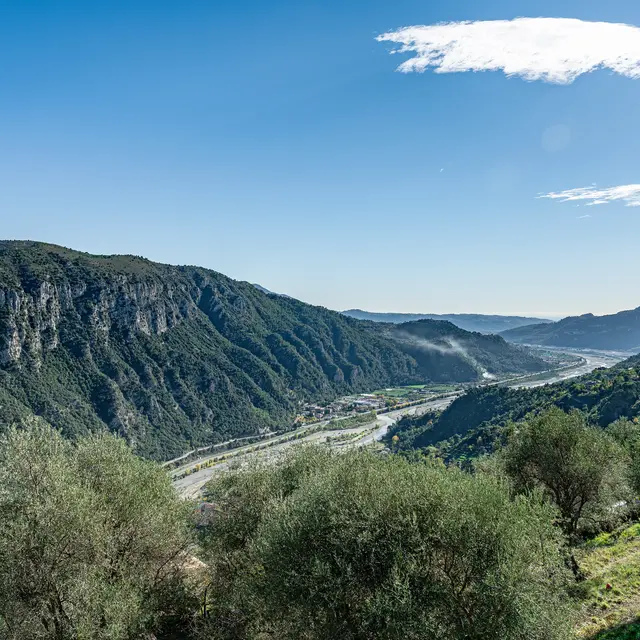 Bonson - vue sur les restanques d'oliviers et le Var
