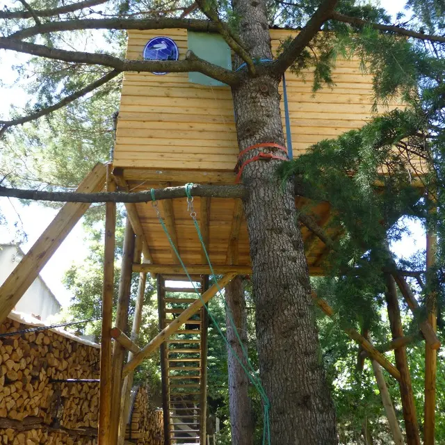Cabane dans les arbres