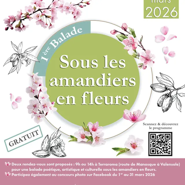 1re balade sous les amandiers en fleurs