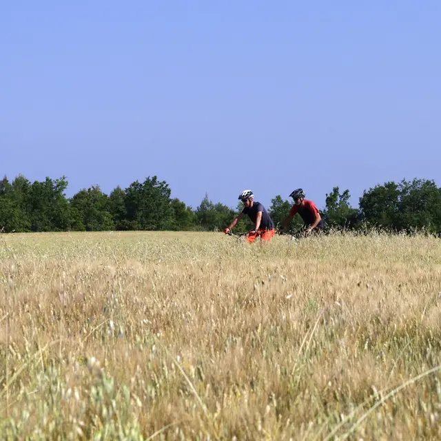 Site VTT FFC-Pays d'Oraison-Coeur de Durance-Circuit 1-Vert-Oraison_Oraison