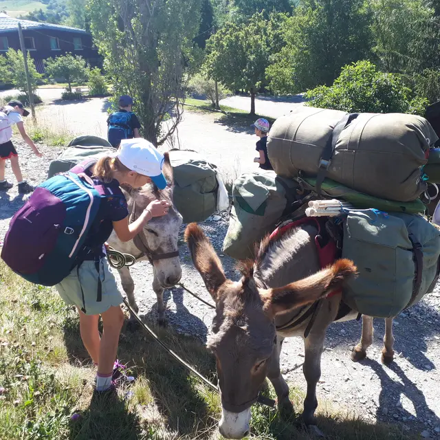 Randonnée avec des ânes