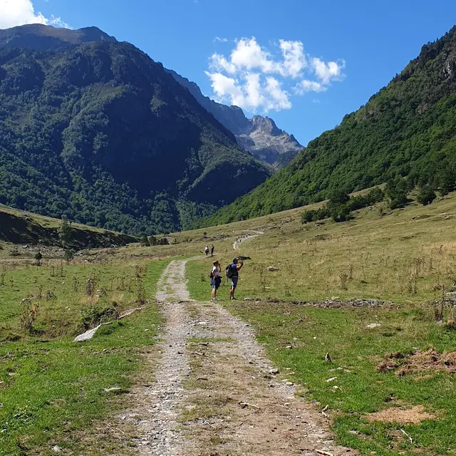 La prairie aux marmottes