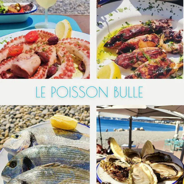 montage fiche Apidae_20260212_213927_0000.png