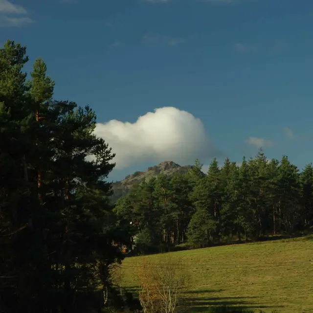 Lectures sous l'arbre_Le Chambon-sur-Lignon