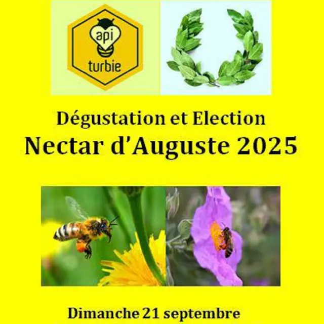 Dégustation et élection du Nectar d'Auguste 2025