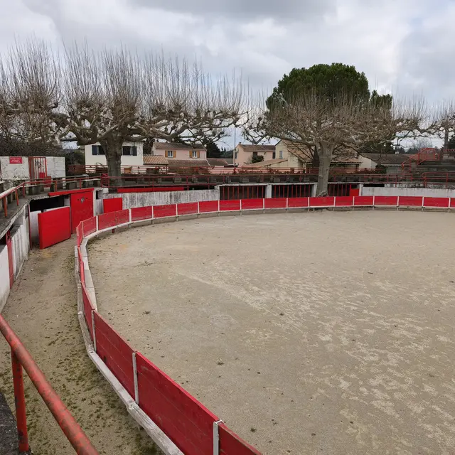 Arènes Francis Chaine - Paluds de Noves_Noves