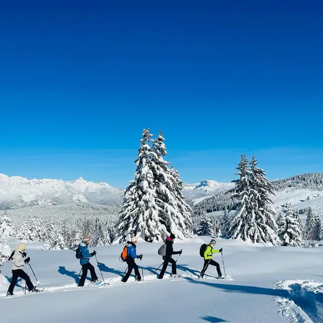 BUREAU MONTAGNE RANDO NATURE_Hauteluce