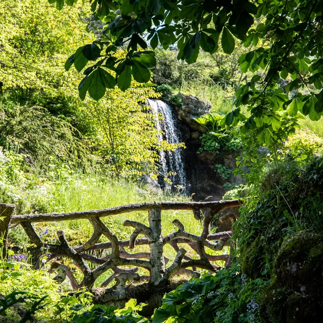 Cascade Jardin Jaysinia