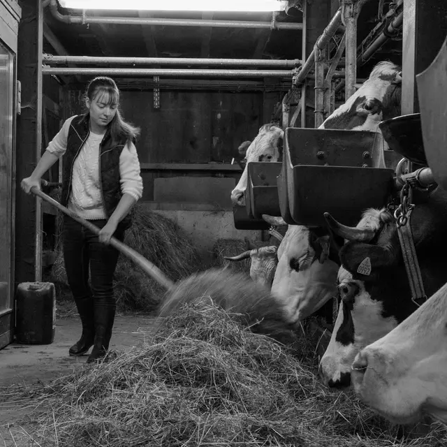 Ferme des Cimes