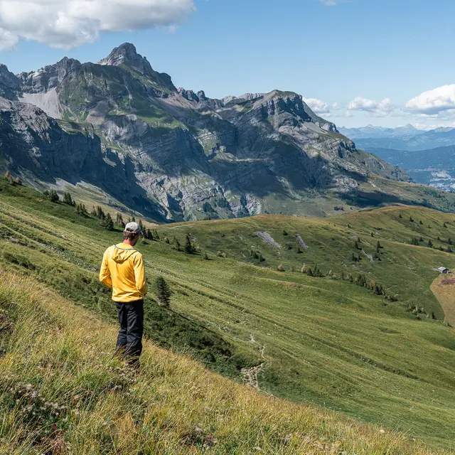 Quand les hommes et les animaux s’harmonisent en montagne_Cordon