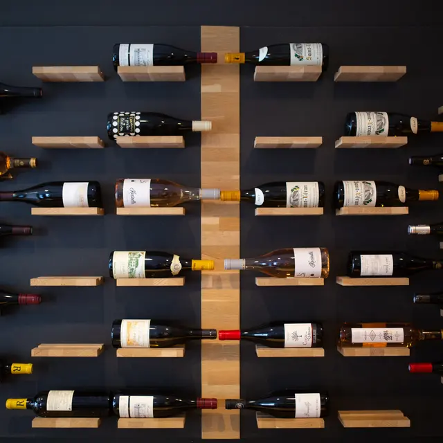 Un éléphant dans un jeu de quilles