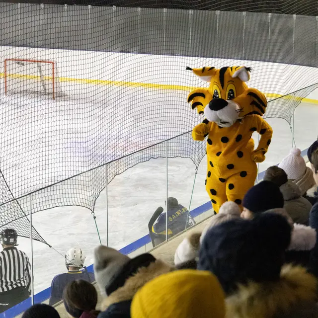 Match de hockey : les Lynx de Samoëns vs Super Puck de Genève_Samoëns