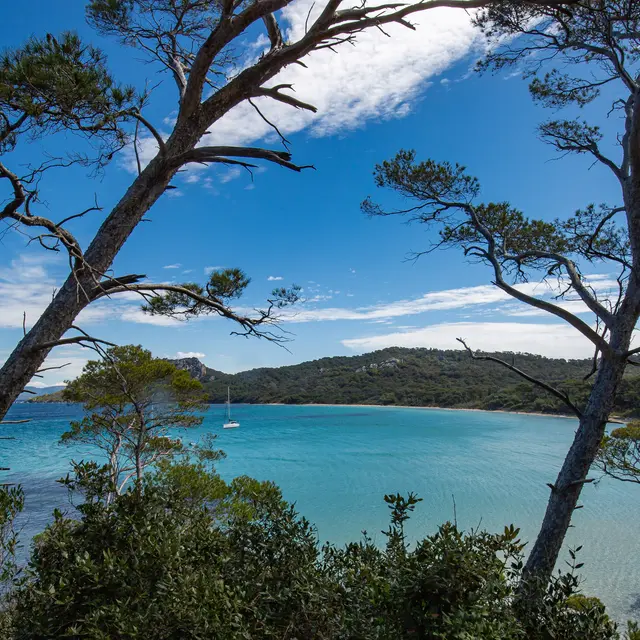 Journée à Porquerolles