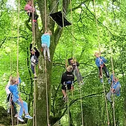 Grimpe d'arbres - Atelier Corde à soi_Lapenne