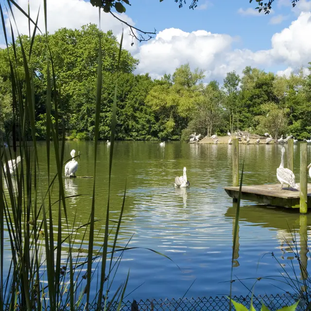 Séjour : Les essentiels de la Bresse et de la Dombes (2 jours / 1 nuit)