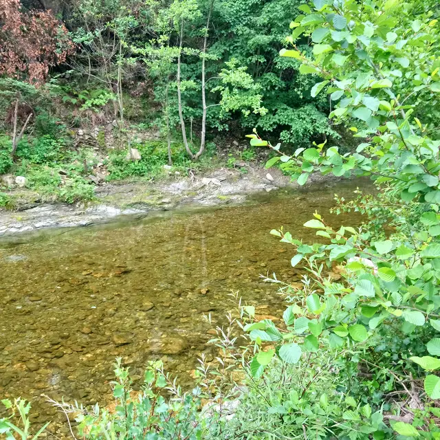 Cyclo : La Vallée de l'Auzonnet_Alès
