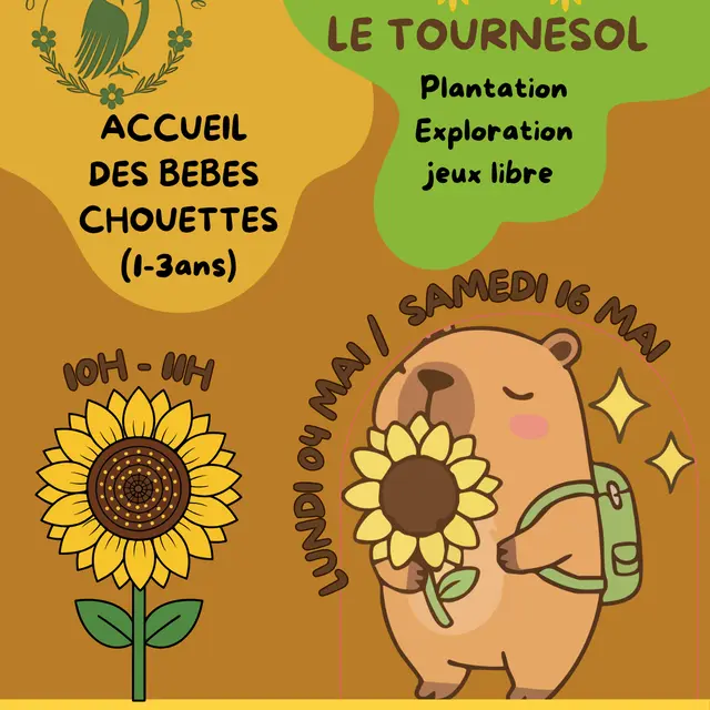 accueil des bebes chouettes