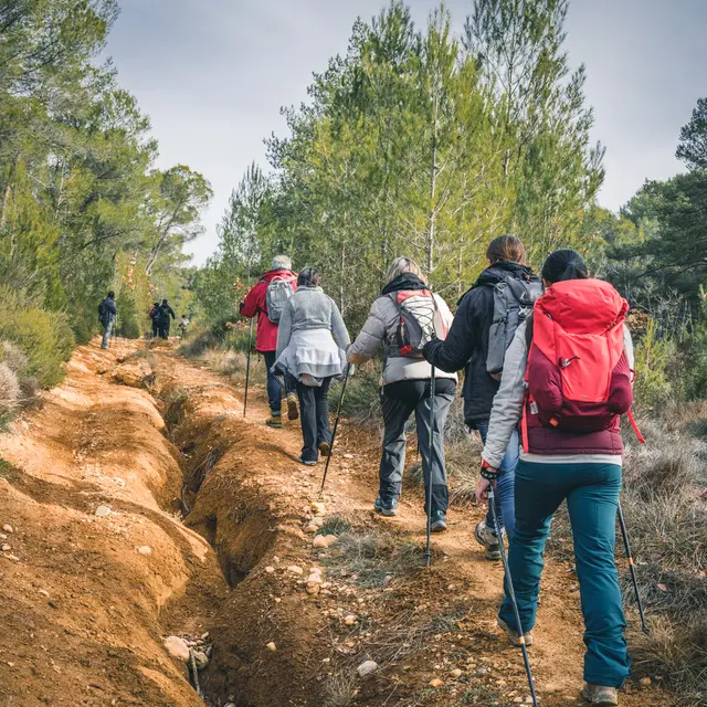 Marche Nordique en Sud Luberon