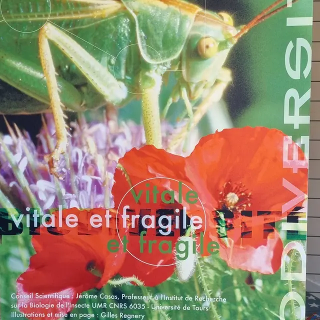 Exposition La biodiversité_Sospel