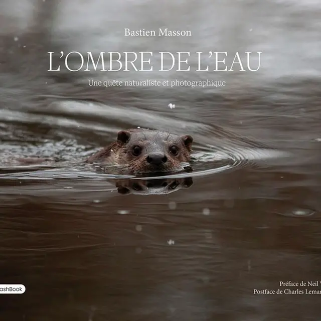 Conférence : La quête de la Loutre d'Europe, par Bastien Masson_Mauriac