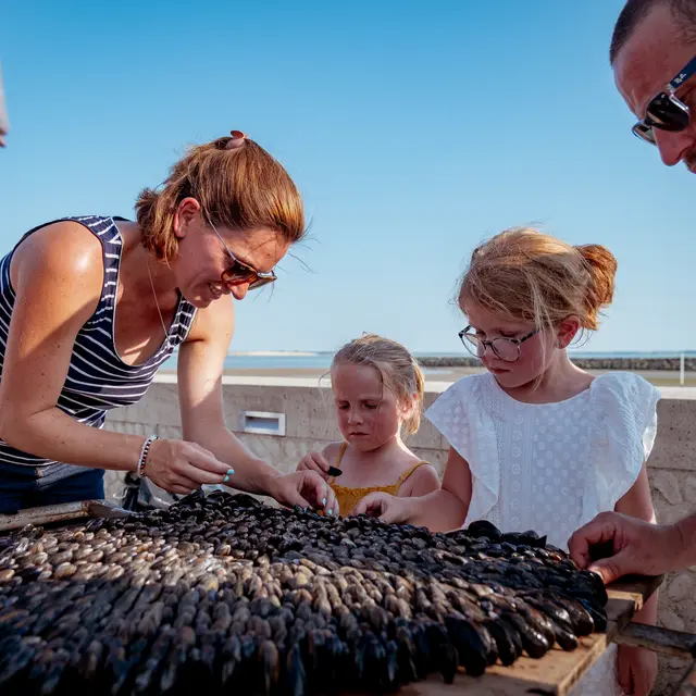 Fête des Boucholeurs, fête des huîtres et des moules_Châtelaillon-Plage