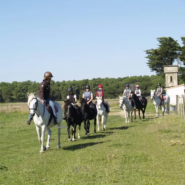 Haras des Evières