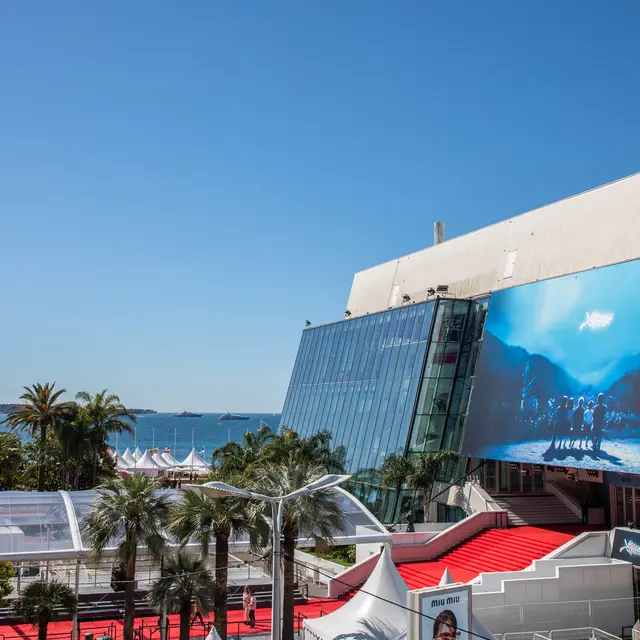 festival de cannes