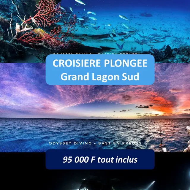 Croisière plongée grand lagon sud_Yaté