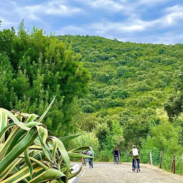 Journée d'étude en pleine nature_Cavalaire-sur-Mer