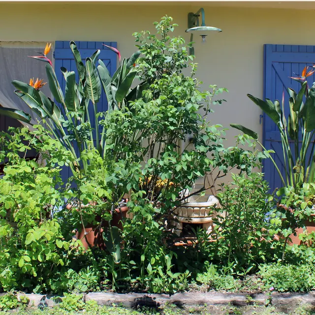Accès chambres depuis le jardin