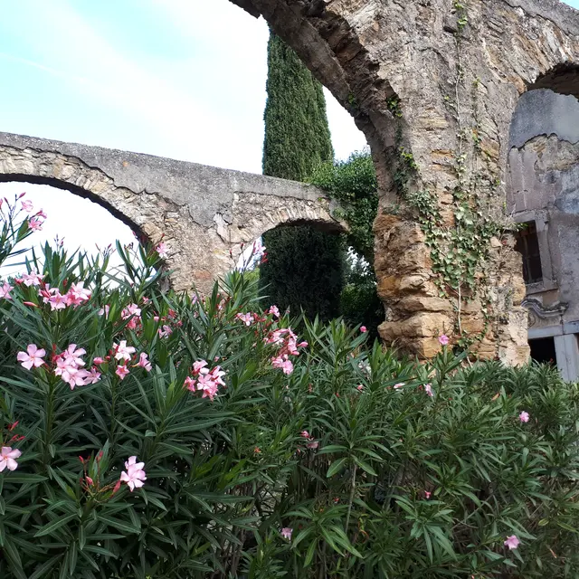 Fontaine et chapelle Saint Jean_La Cadière-d'Azur