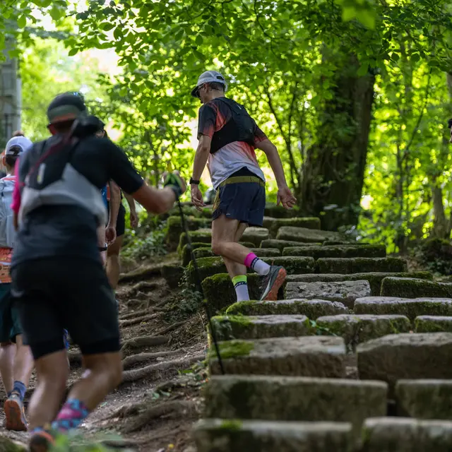 Trail du Grand Genève_Genève