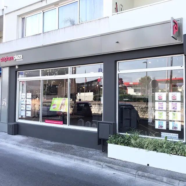 Stephane Plaza Immobilier