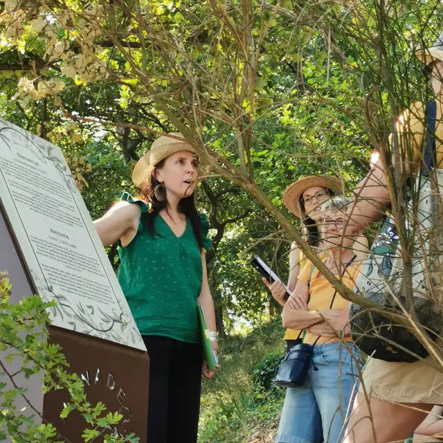Visite guidée - Promenade Cezanne à Gardanne_Gardanne