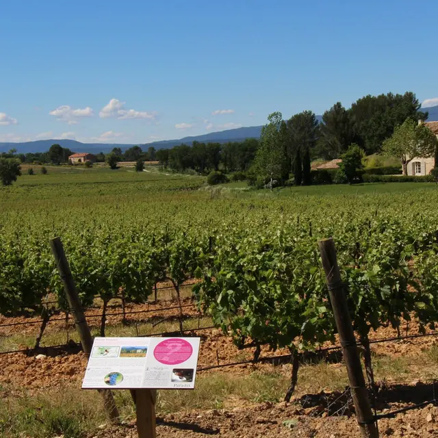 Sentier Vigneron de Château Paradis
