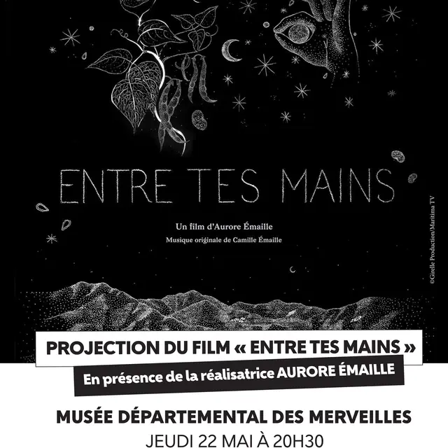 Projection du film 
