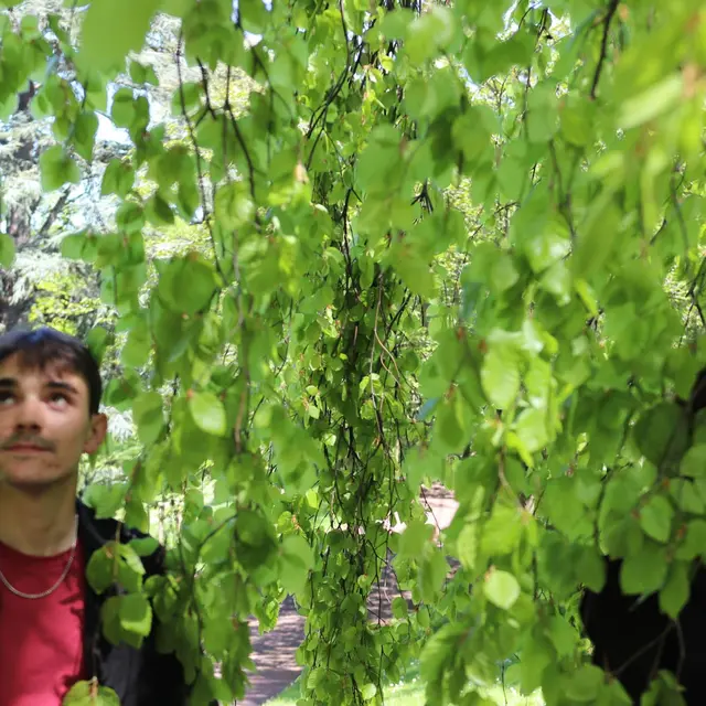 EVE_Sweet Berries en concert_Allègre