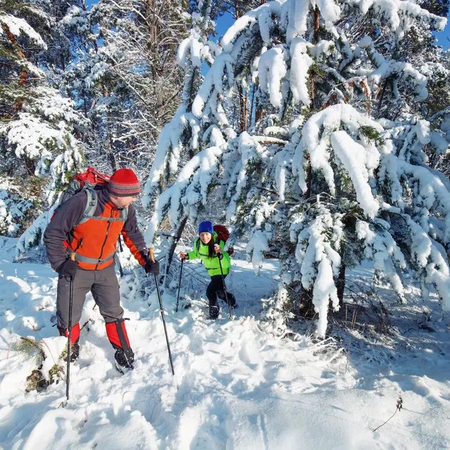 Balade raquettes à neige dans la vallée de Chamonix