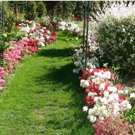 Parc des Camellias