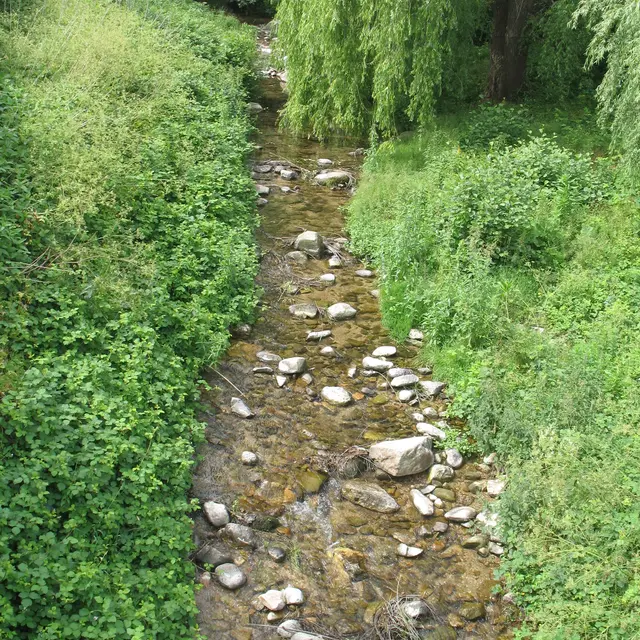 Ruisseau du Brion - Parc Saillens