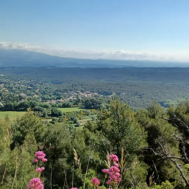 Le début de la fin_Saint-Savournin