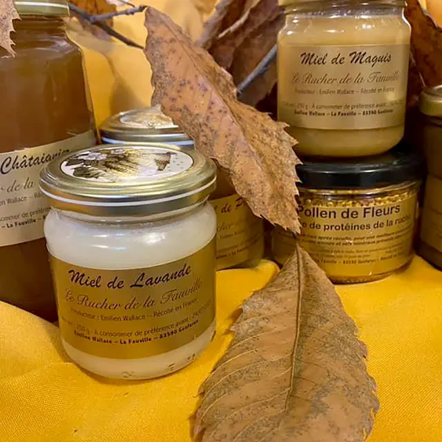 La Fauville_Gonfaron