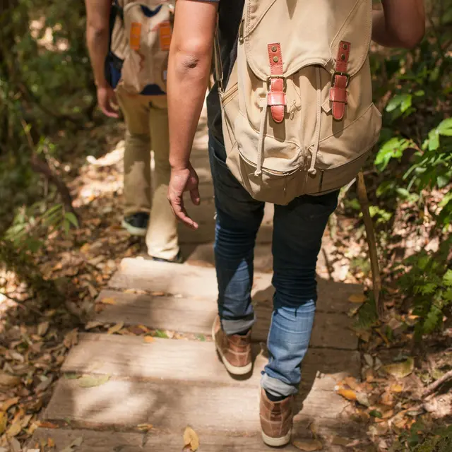 Rando douce : Notre-Dame de Vacquières_Avignon