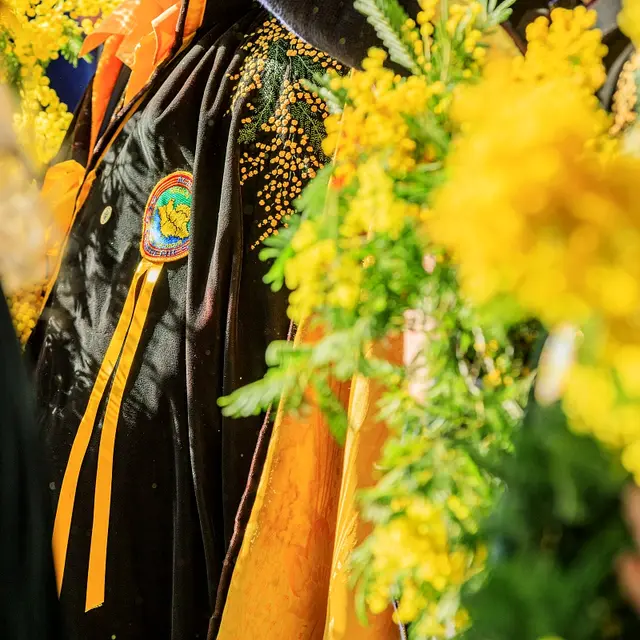 Fête du Mimosa_Mandelieu-La Napoule