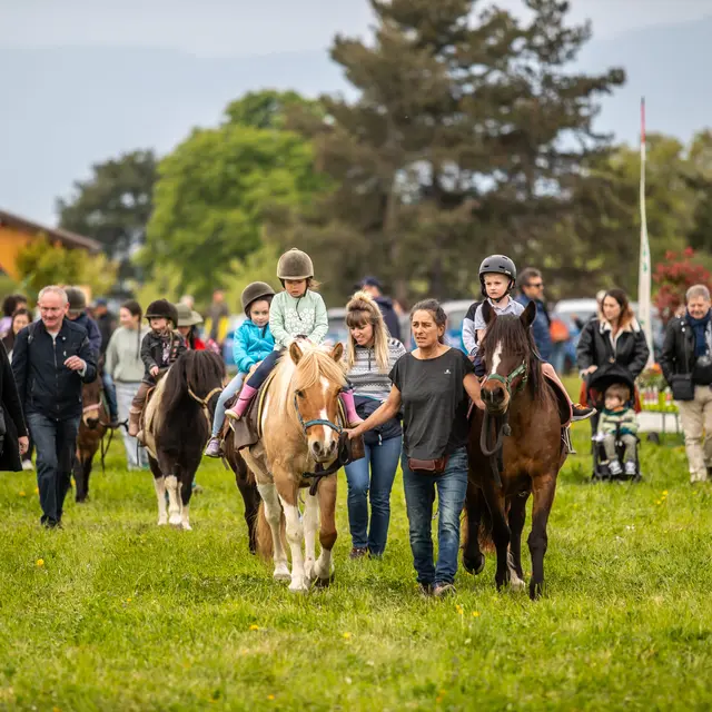 Folie(s) Végétales 2026 - Balade à poney_Thonon-les-Bains
